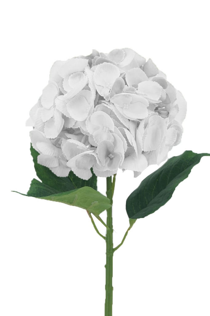 [FL6511WH] 54cm Hydrangea, White (288 pc/ctn) Uniware B2B Wholesale Site